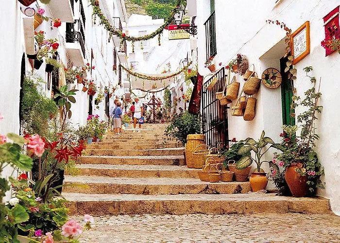 Rural Almazara
