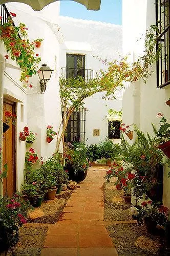 Rural Almazara Hotel 3*